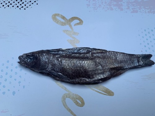 Angler geschenkset fisch - –,